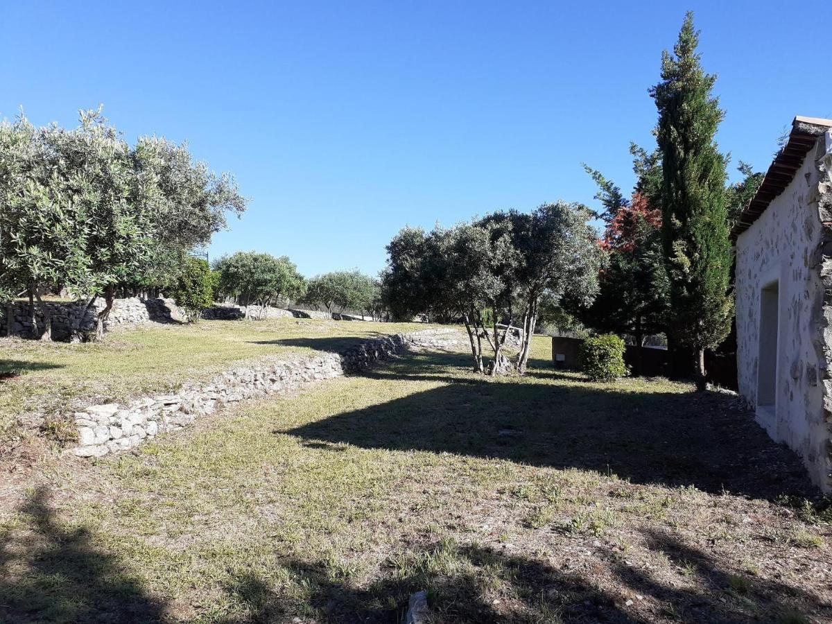 La Bastide Des Selves Bed & Breakfast Draguignan Exterior foto